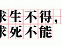 爱奇艺体育-里昂战平南特，艰难求得一分的简单介绍