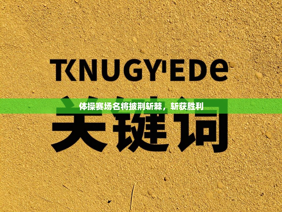 体操赛场名将披荆斩棘,斩获胜利 第2张